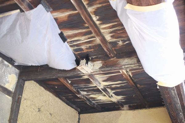 妊婦とツバメ 上久堅どっとこむ